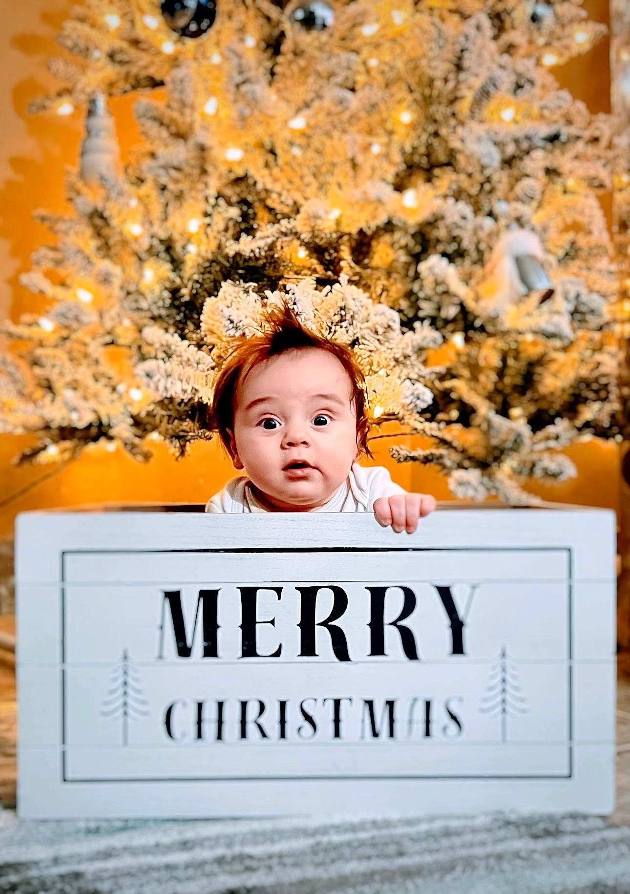 Azriel joined the competition — help win amazing prizes! baby, child, event, facial_expression, fashion_accessory, font, grass, happy, landscape, leaf, morning, nature, people_in_nature, person, photo_caption, plant, portrait_photography, spring, surprise, toddler