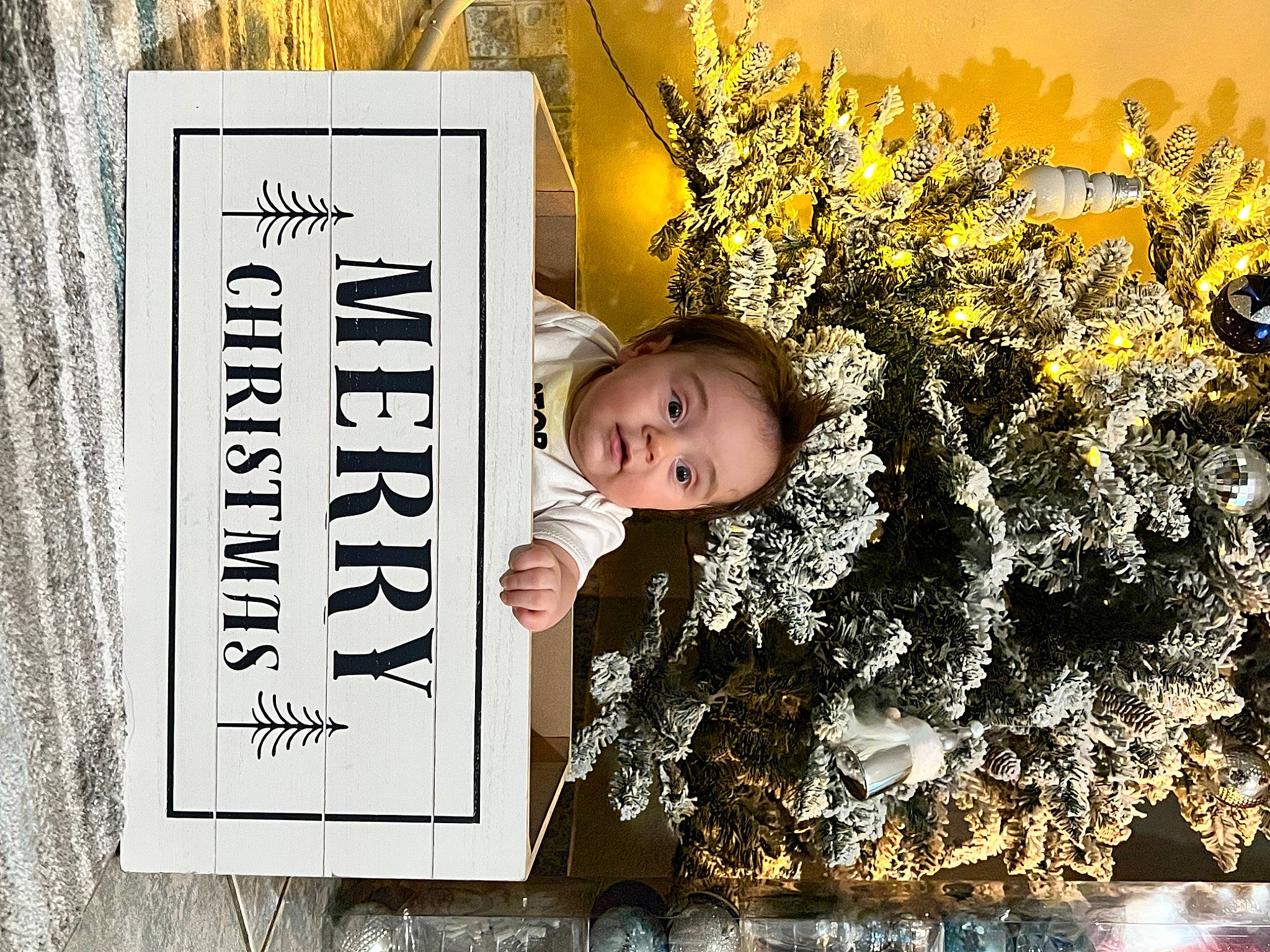 Azriel joined the competition — help win amazing prizes! christmas_decoration, christmas_ornament, conifer, cut_flowers, event, floral_design, floristry, flower_arranging, font, fur, grass, happy, holiday, nature, ornament, person, plant, publication, spring, surprise