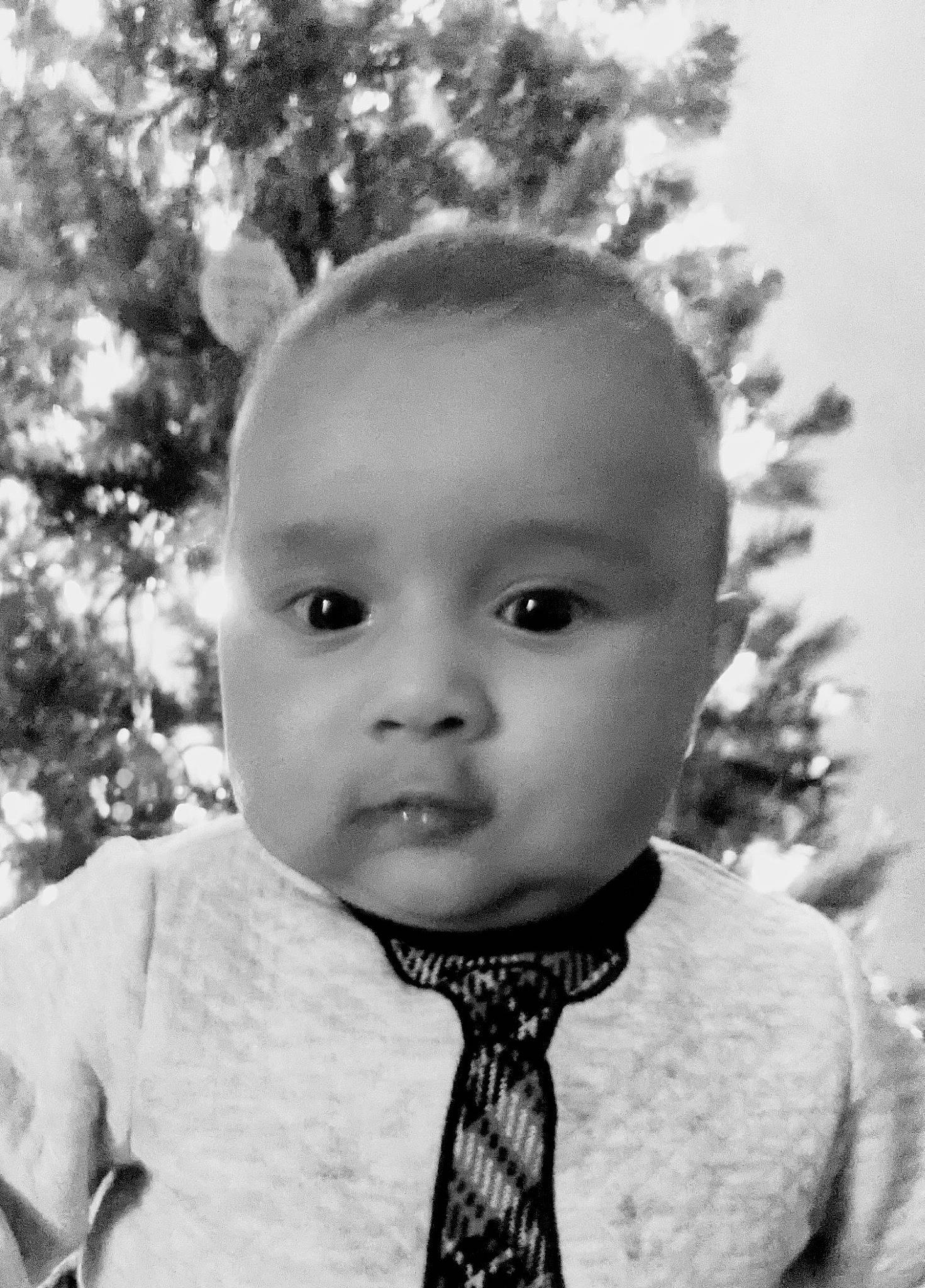 Teddy is registered to the contest to win money with this photo: baby, baby_toddler_clothing, cheek, child, collar, dress_shirt, eye, eyebrow, eyelash, forehead, iris, lip, monochrome, monochrome_photography, person, portrait, portrait_photography, skin, tie, toddler