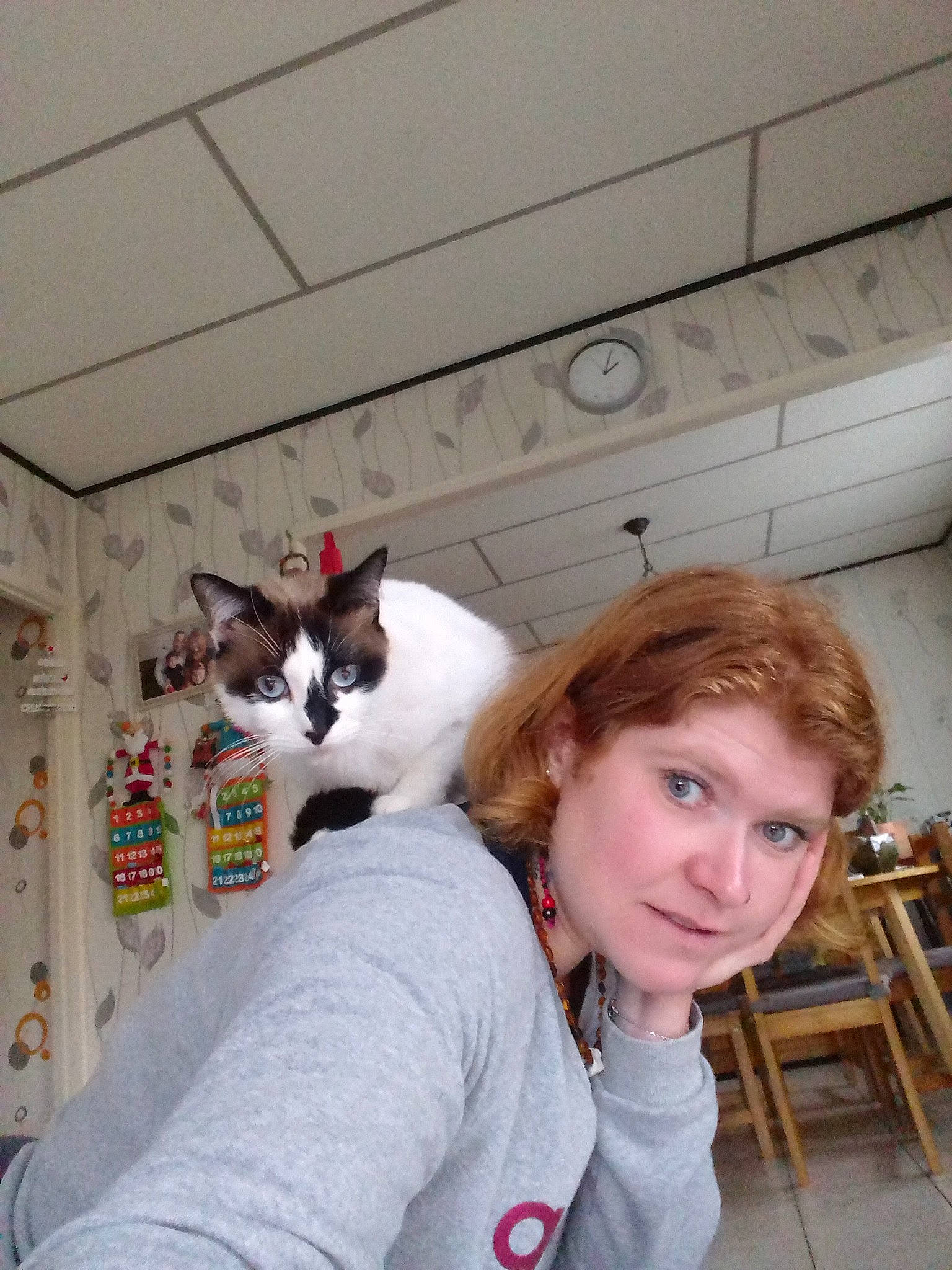 Nala Et Nesquick participe au concours pour gagner de l'argent avec cette photo : carnivoran, cat, cat_like_mammal, ear, fun, fur, girl, kitten, mammal, person, room, small_to_medium_sized_cats, vertebrate, whiskers