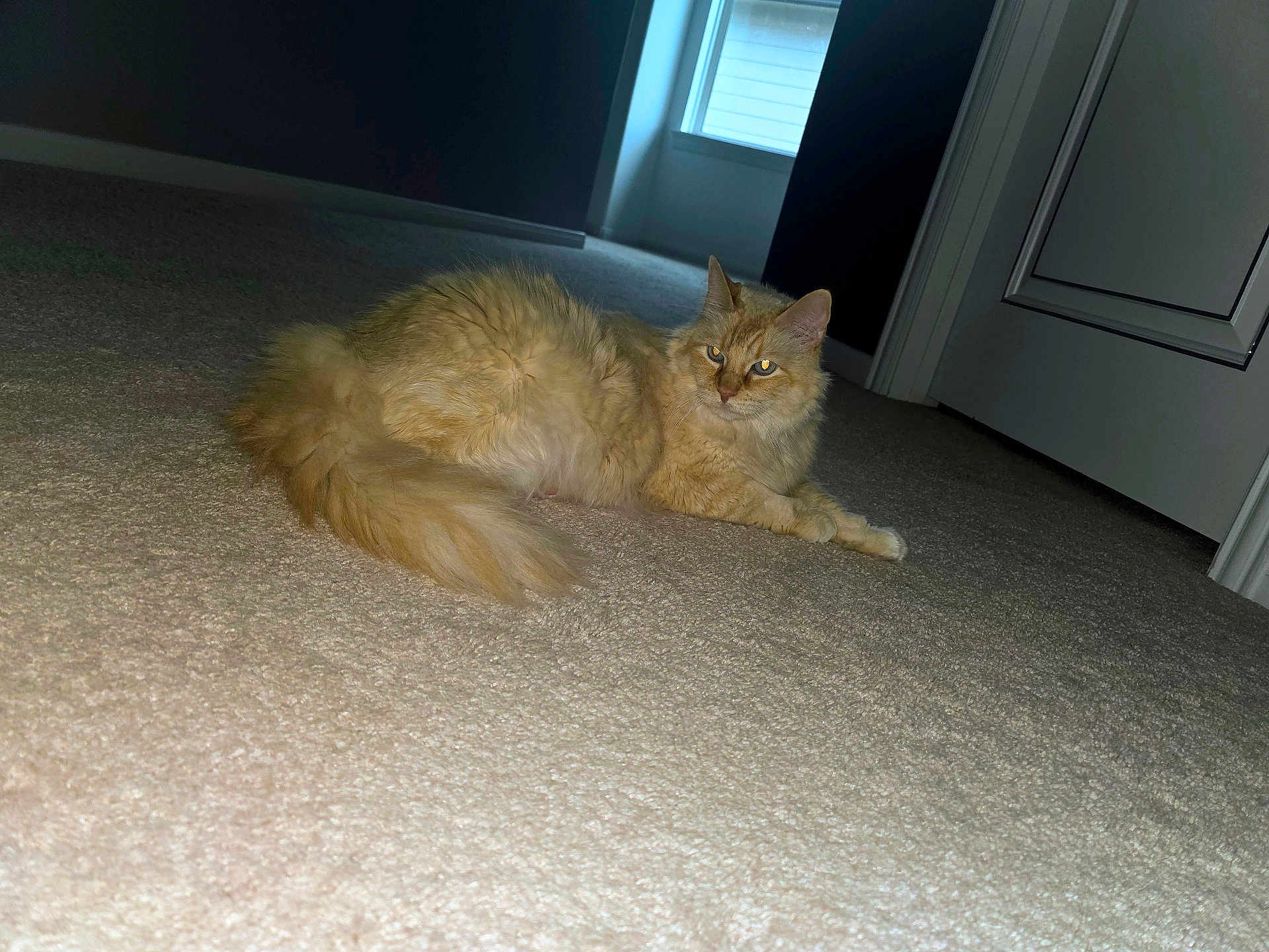 Missy