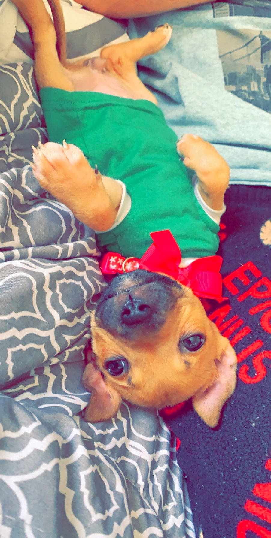 Ava is registered to the contest to win money with this photo: arm, child, hand, head, toddler