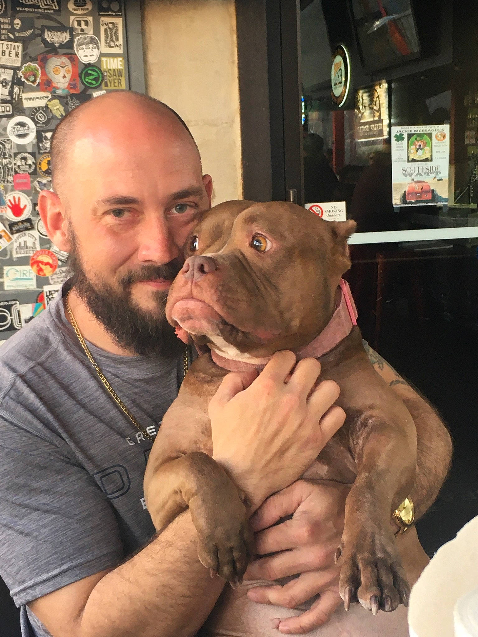 Athena is registered to the contest to win money with this photo: american_pit_bull_terrier, bandog, canidae, carnivore, companion_dog, dog, dog_breed, dorset_olde_tyme_bulldogge, fawn, mammal, non_sporting_group, pit_bull, snout, vertebrate