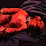 Angel Mae is registered to the contest to win money with this photo: