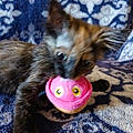 Delilah H.
