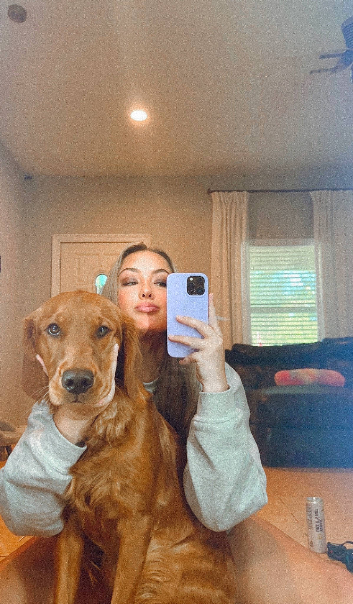 Roux is registered to the contest to win money with this photo: brown_hair, carnivore, companion_dog, curtain, dog, dog_breed, eyewear, fawn, flooring, fun, fur, gesture, liver, long_hair, mobile_phone, selfie, sporting_group, window, wood, working_animal