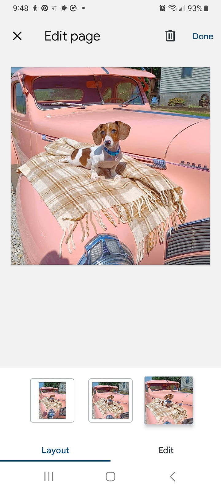 Skipper is registered to the contest to win money with this photo: automotive_design, automotive_exterior, automotive_lighting, car, classic_car, companion_dog, couch, font, hood, linens, magenta, motor_vehicle, pattern, photograph, pink, snapshot, trunk, vehicle, vehicle_door, working_animal