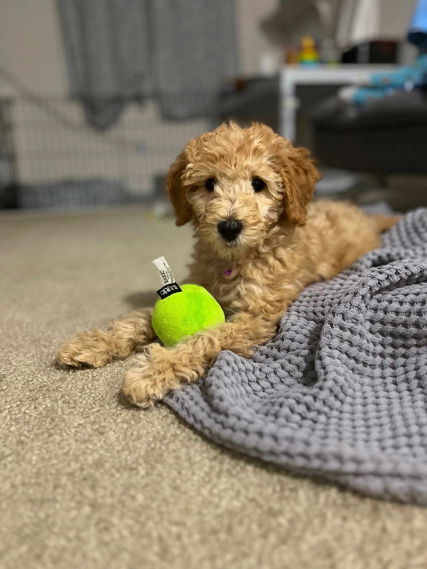 Mia