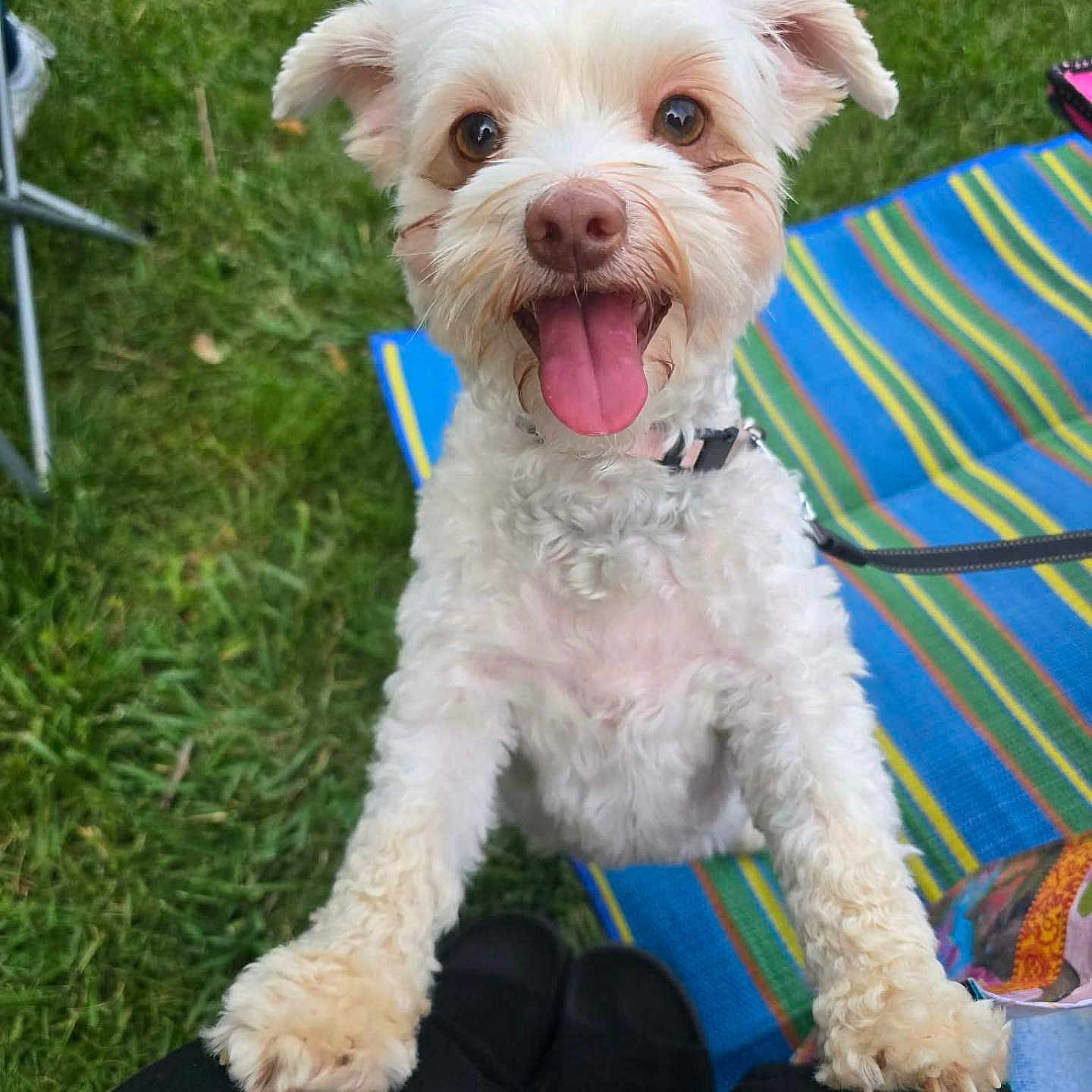 Bella