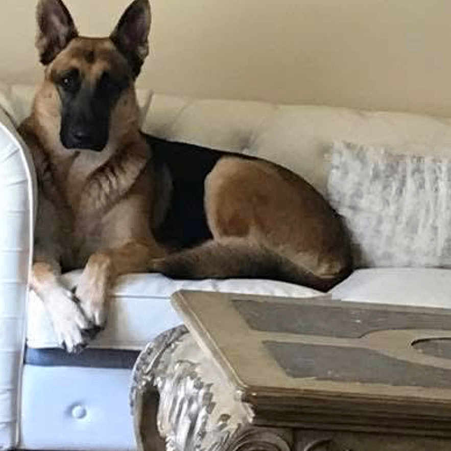Max