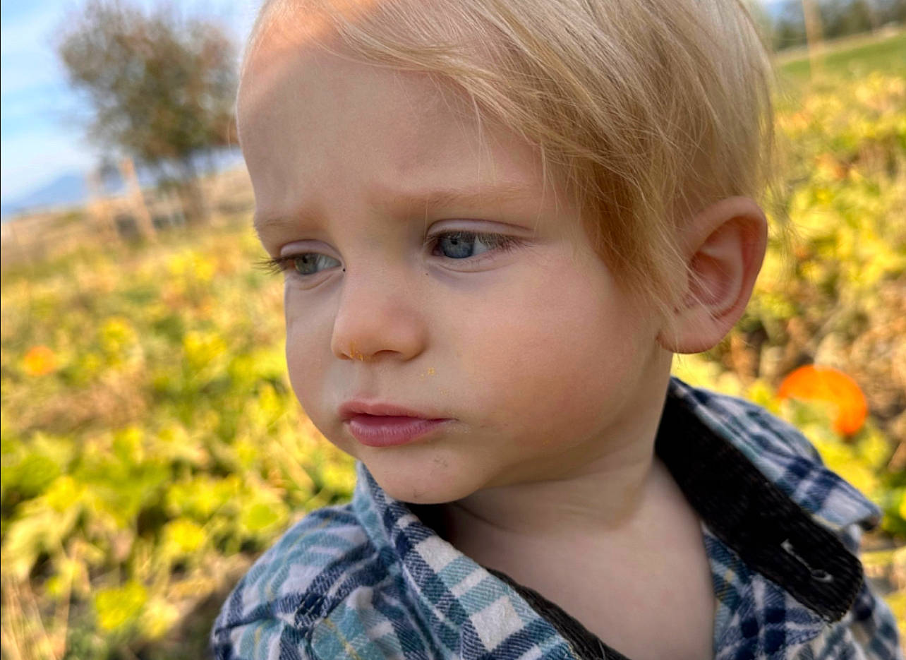 Mathias joined the competition — help win amazing prizes! cheek, child, chin, close_up, eyelash, grass, hair, happy, head, iris, lip, nose, people_in_nature, person, plaid, plant, skin, sorrow, tartan, toddler