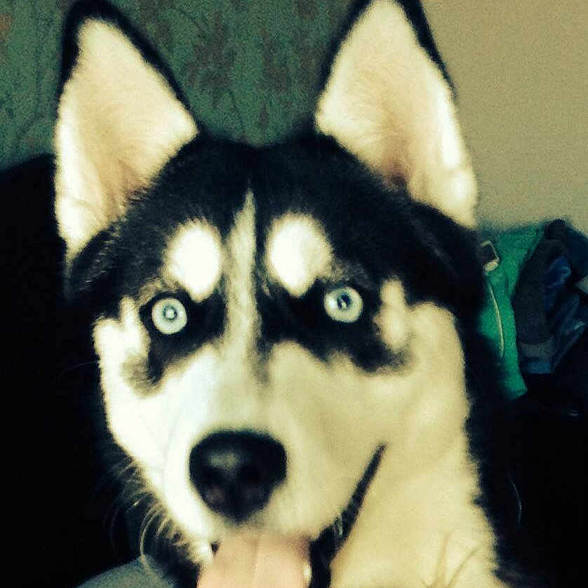 Miya is registered to the contest to win money with this photo: