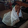 blanket, brown_dog, cabinet, comfort, couch, cozy, dim_light, dog, furniture, home, household_items, indoor, living_room, pet, relaxed, resting, stuffed_toy, tile_floor, wrapped, wrapped_in_blanket