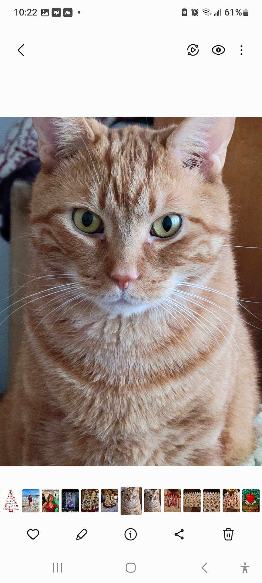 Kodi
