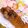 baby, sleeping, pink_bow, bunny, rabbit, basket, mittens, bracelet, colorful_dress, white_cloth, greenery, cute, animal, child, outdoor, soft, peaceful, portrait, closeup, adorable