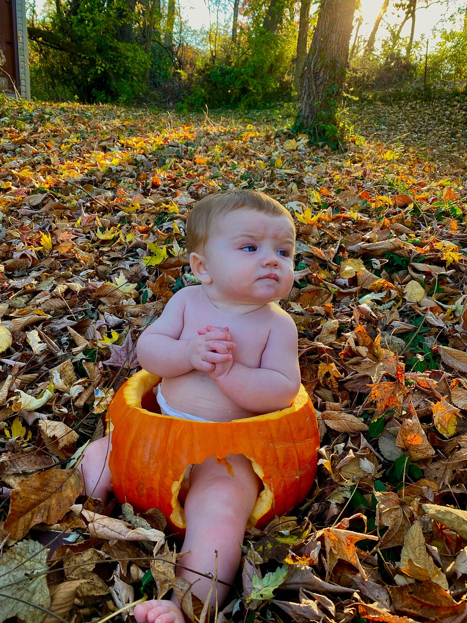 Caspian is registered to the contest to win money with this photo: autumn, baby, baby_toddler_clothing, child, deciduous, grass, happy, leaf, natural_landscape, people_in_nature, person, plant, sitting, toddler, tree, wood, woodland