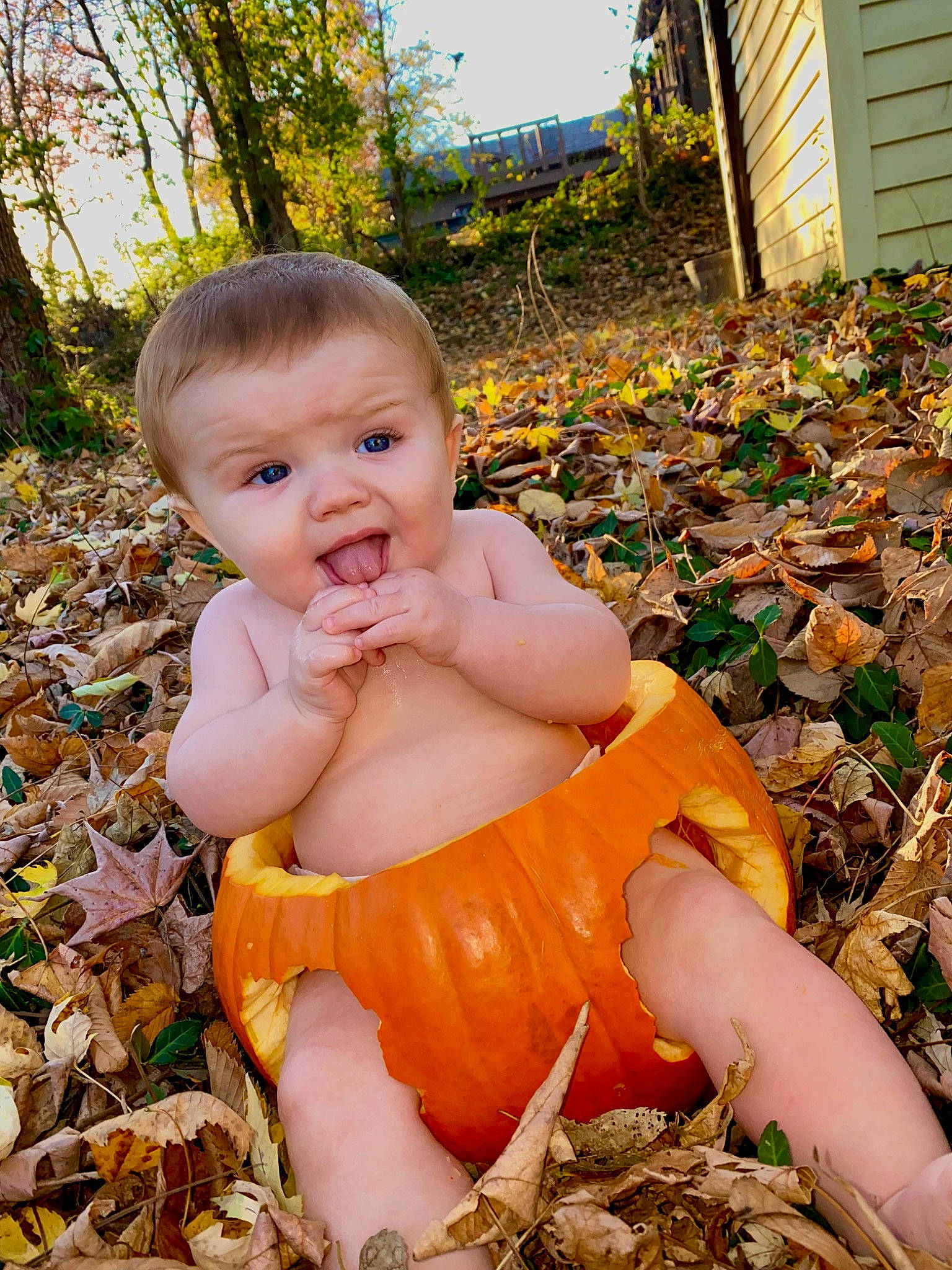 Caspian is registered to the contest to win money with this photo: baby, baby_toddler_clothing, cheek, chest, child, eye, fawn, fun, garden, grass, happy, head, human_body, people_in_nature, person, plant, sitting, sky, toddler, tree