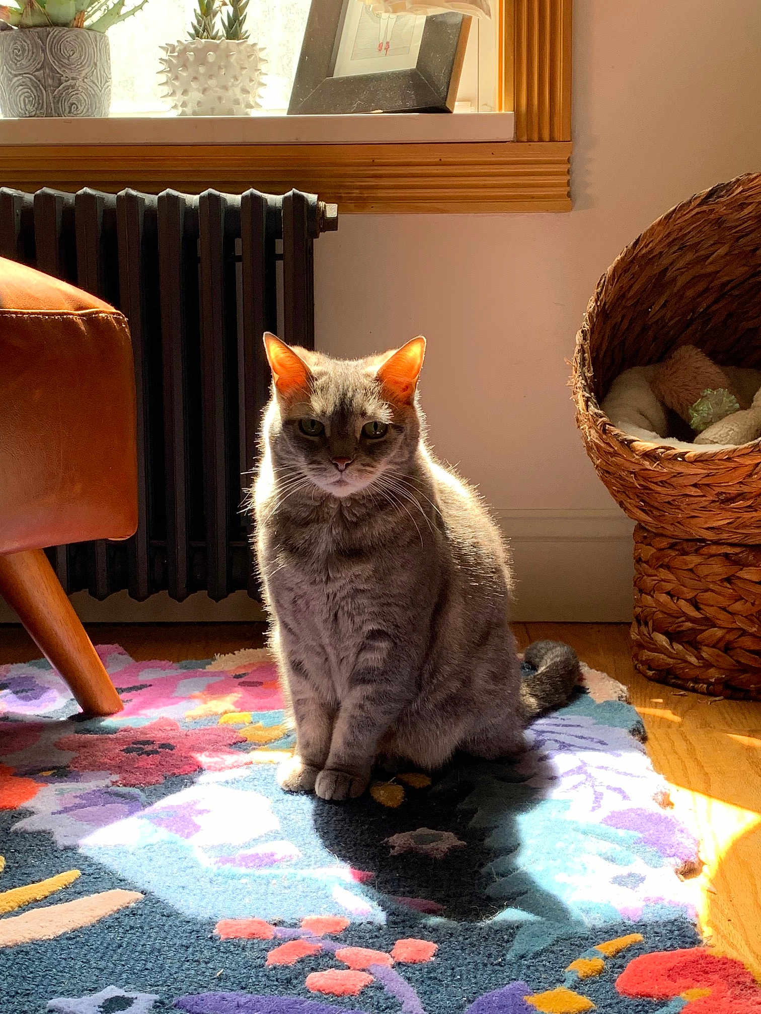 Mika