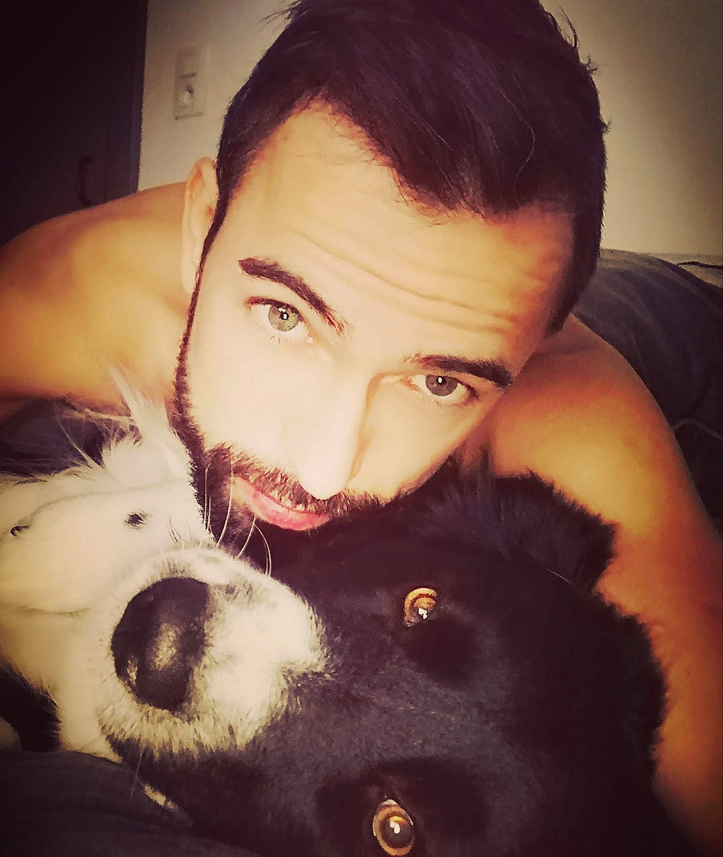 Dolce participe au concours pour gagner de l'argent avec cette photo : arm, beard, carnivore, cool, dog, ear, eye, eyelash, face, flash_photography, gesture, hand, happy, head, jaw, muscle, neck, nose, organ, vision_care