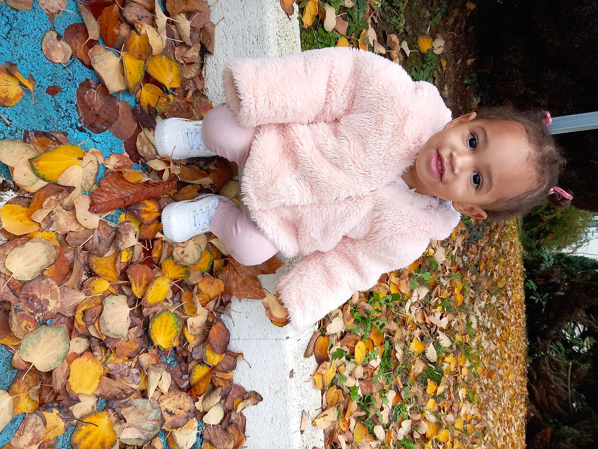 Calysta participe au concours pour gagner de l'argent avec cette photo : autumn, baby, baby_toddler_clothing, child, deciduous, grass, happy, joy, mixture, pattern, pebble, people_in_nature, person, plant, portrait_photography, smile, soil, toddler, tree, wood
