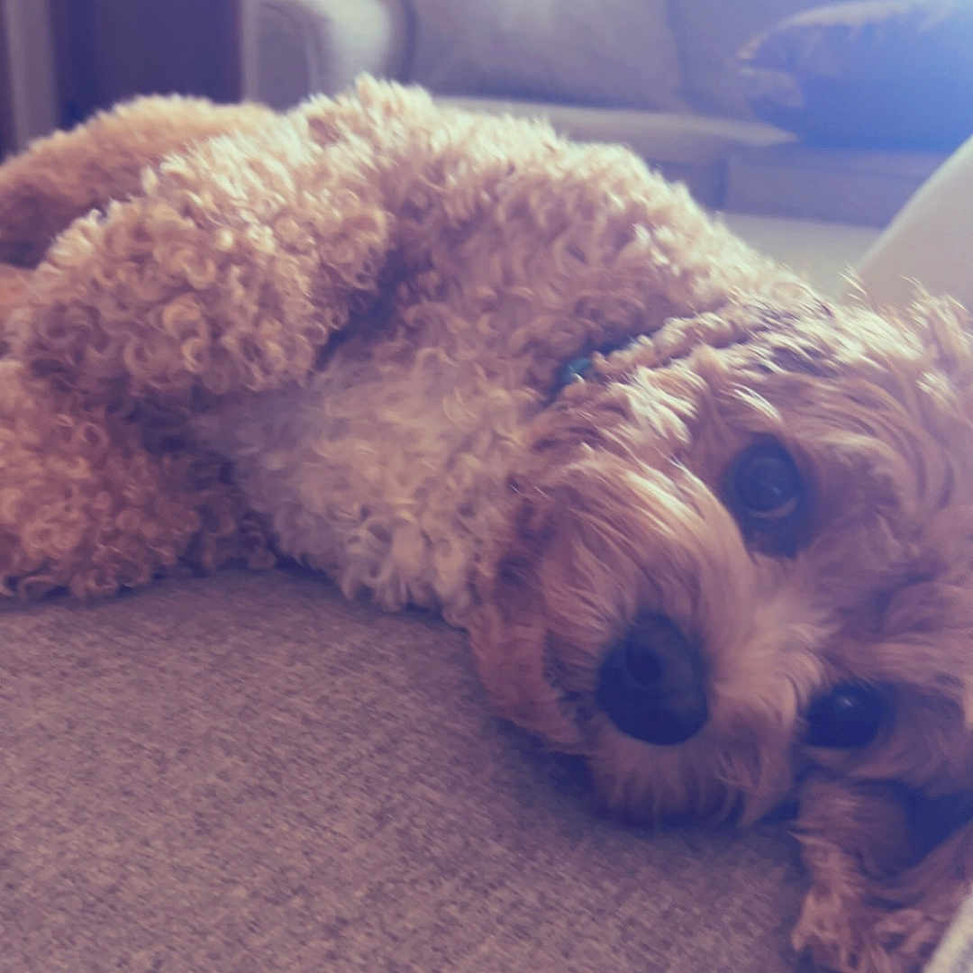 Rusty