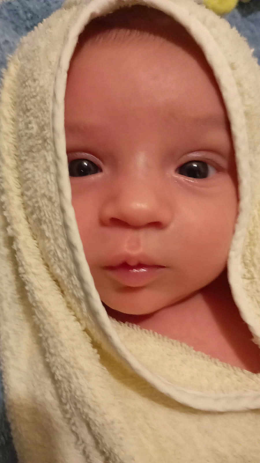 Giovanni a rejoint le concours — aidez-le/la à gagner de superbes lots ! baby, face, eyes, towel, skin, newborn, infant, closeup, portrait, child, cute, soft, wrapped, head, expression, indoors, young, adorable, fresh, person