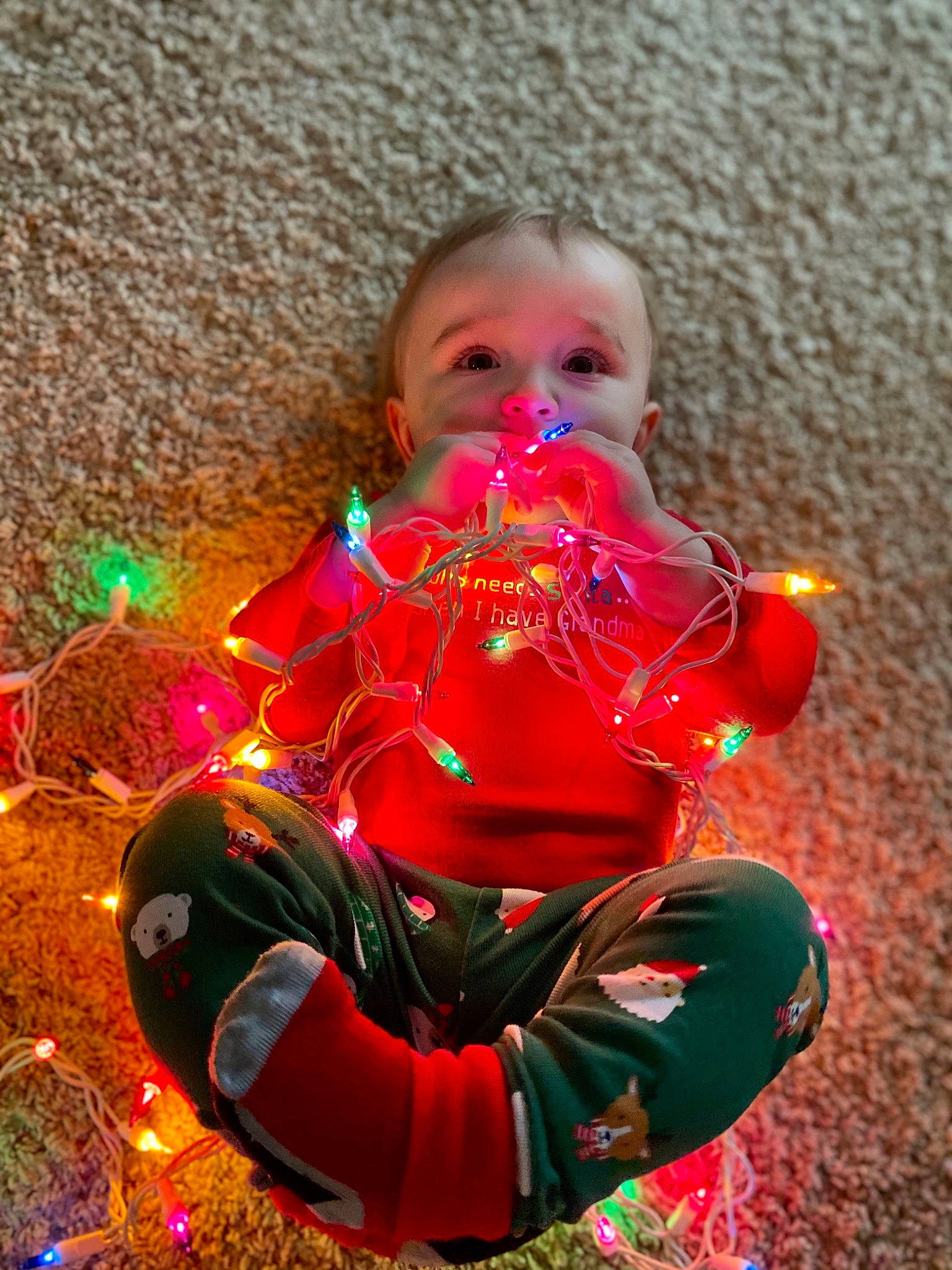 Leslie joined the competition — help win amazing prizes! celebrating, christmas, christmas_decoration, christmas_eve, christmas_lights, christmas_ornament, festival, holiday, holiday_ornament, light, love, ornament, person