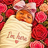 baby, infant, wrapped, blanket, bow, headwear, flowers, roses, red_roses, pink_roses, floral_background, face, expression, newborn, cute, portrait, closeup, announcement, peaceful, swaddle