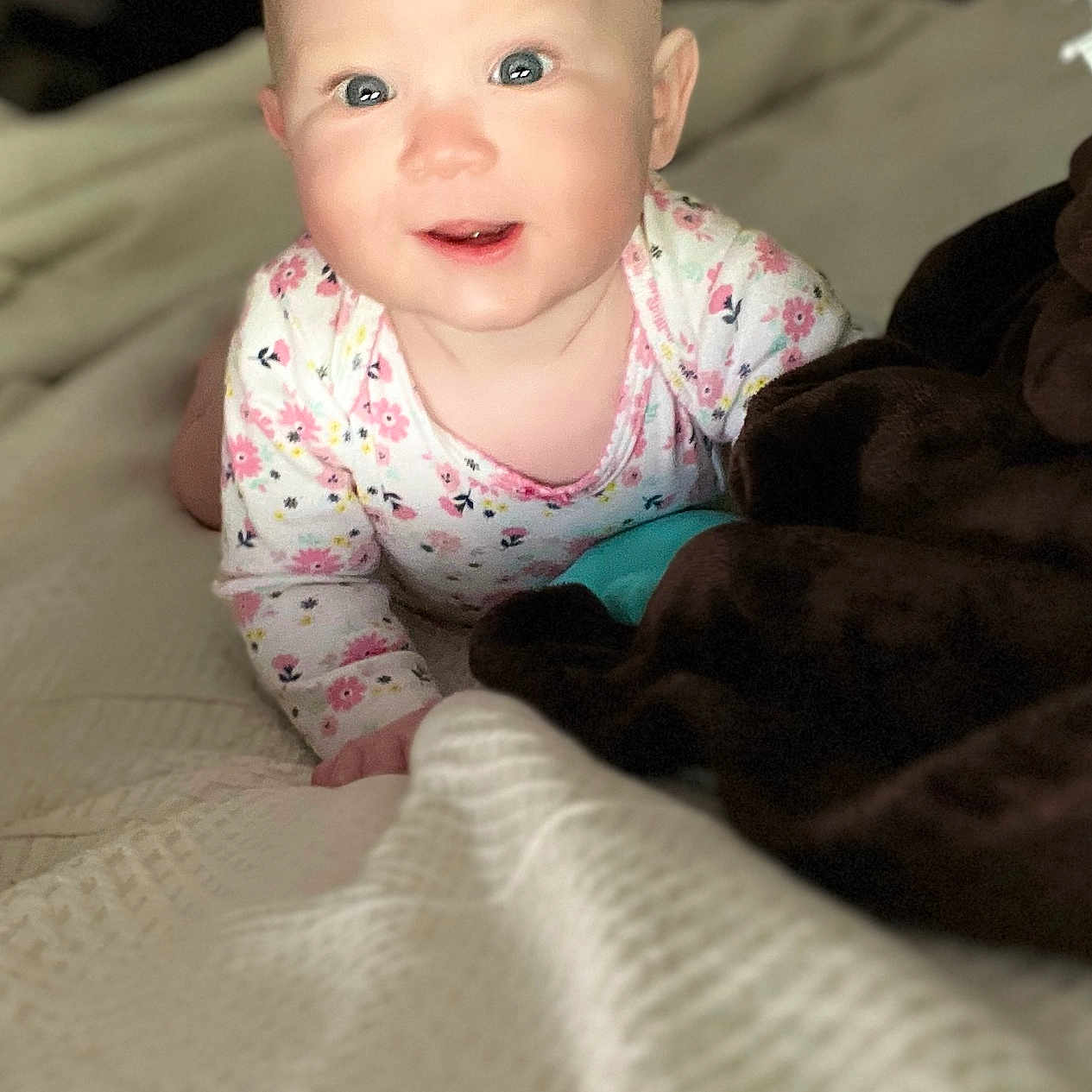 Naveya joined the competition — help win amazing prizes! animal, baby, bed, bedroom, blanket, canine, crawling, dog, face, furniture, happy, head, indoors, newborn, person, pet, photography, portrait, quilt, smile