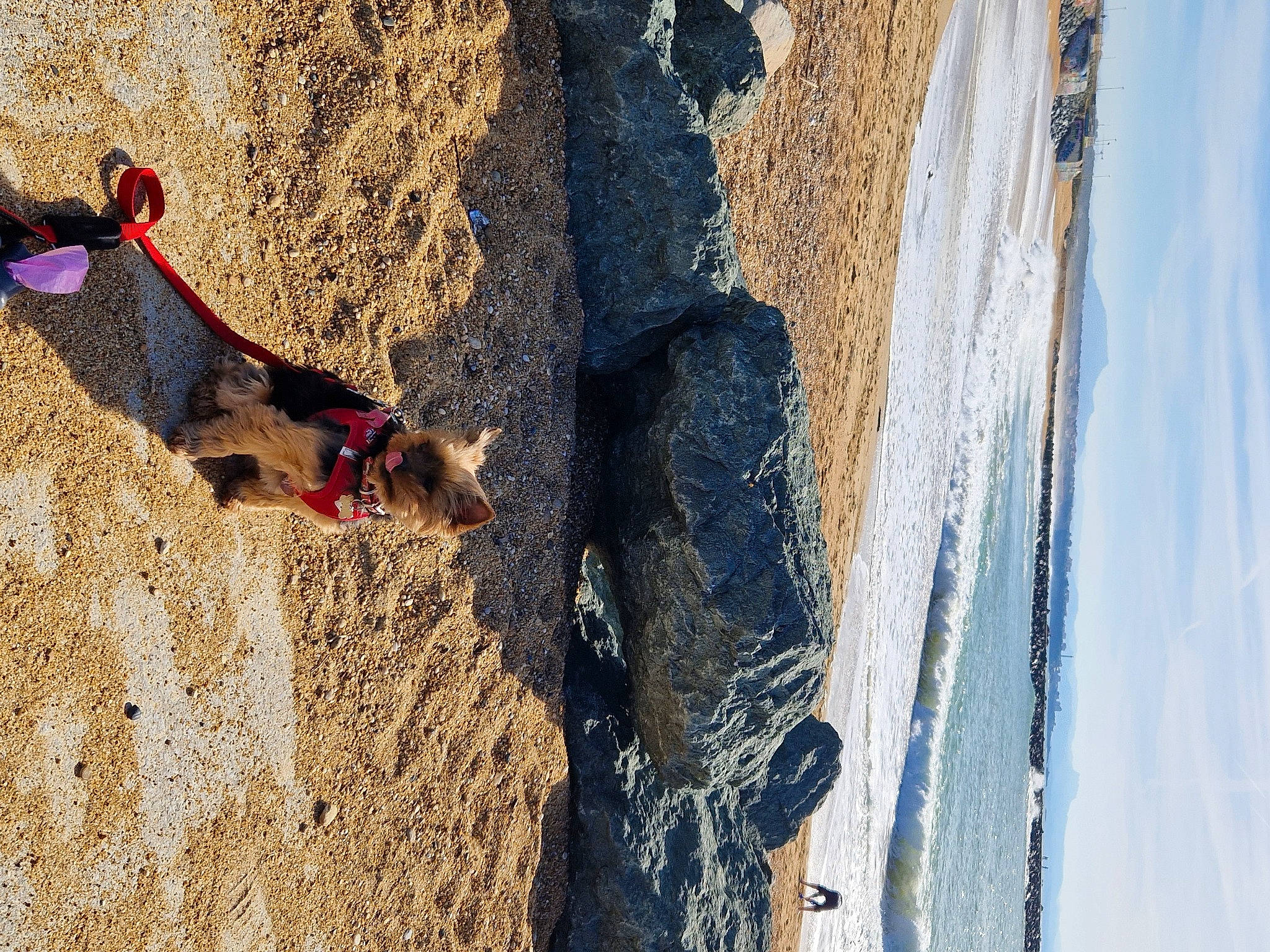 Pirouette participe au concours pour gagner de l'argent avec cette photo : adventure, azure, beach, carnivore, climbing_harness, dog, formation, fun, landscape, leisure, recreation, rock, sand, shadow, sky, slope, soil, sport_climbing, water, wood