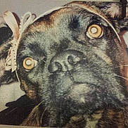 Sybel participe au concours pour gagner de l'argent avec cette photo :