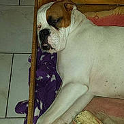 Jay-z participe au concours pour gagner de l'argent avec cette photo :