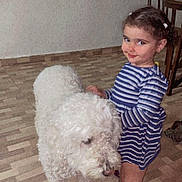 Lya is registered to the contest to win money with this photo: toddler, child, dog, pet, indoor, striped_dress, barefoot, floor, tile, furniture, chair, table, curly_hair, white_dog, playful, cute, smiling, person, home, animal