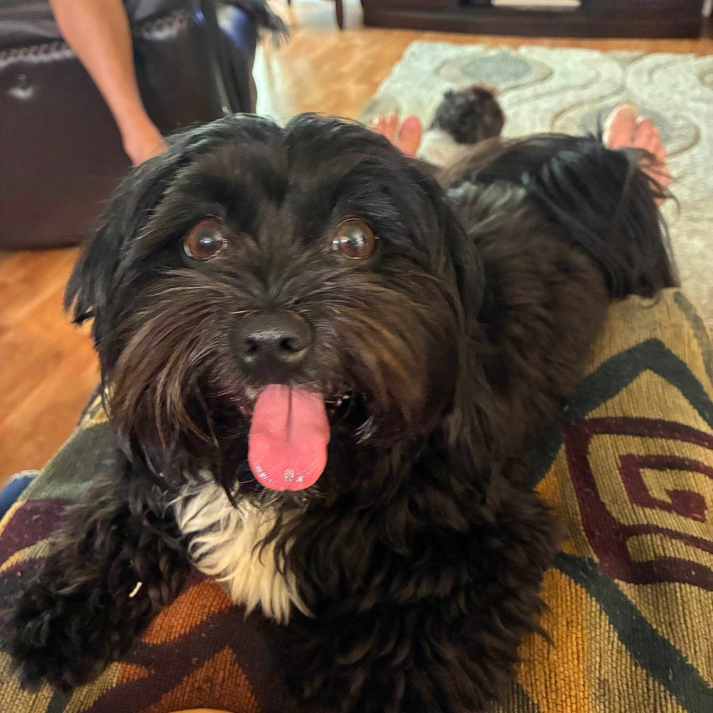 Bernie