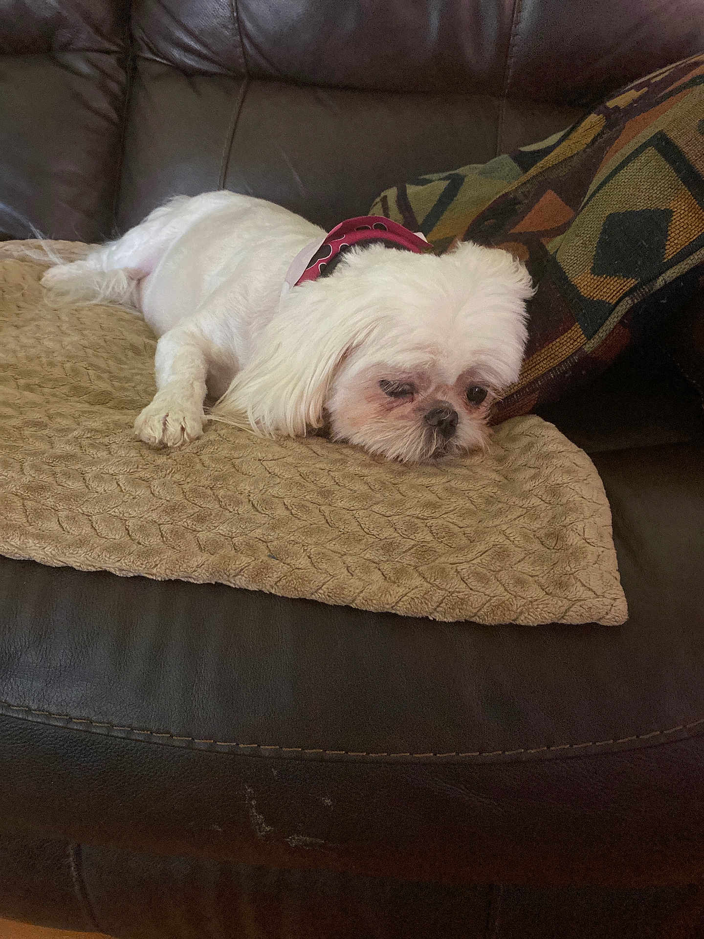 Chloe