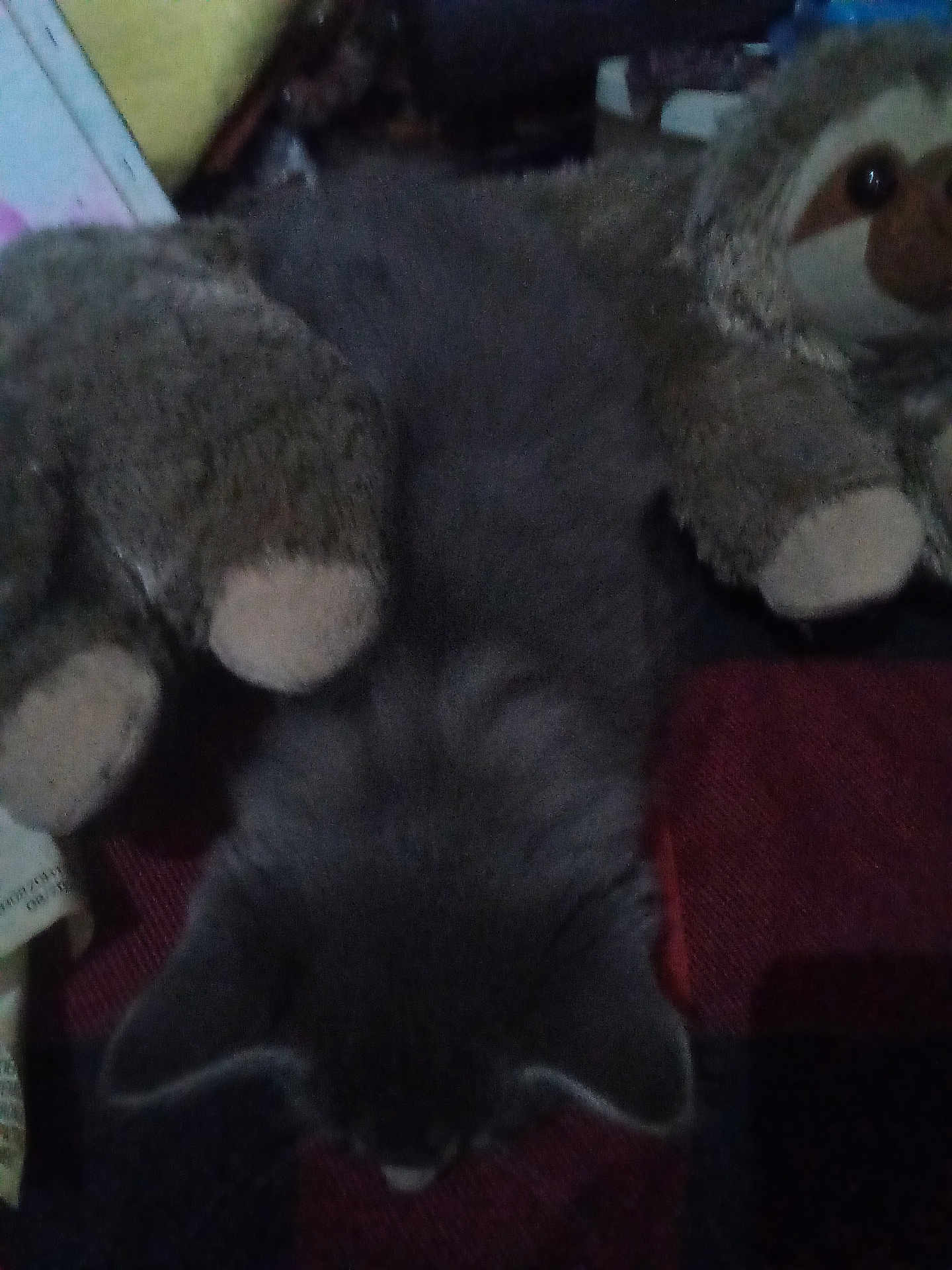 Smokey joined the competition — help win amazing prizes! cat, stuffed_toy, sloth, grey_cat, fabric, indoor, soft_toys, plush, animal, pet, furry, sleeping, cozy, dark, blurry, closeup, resting, toy_animal, cuddly, quiet