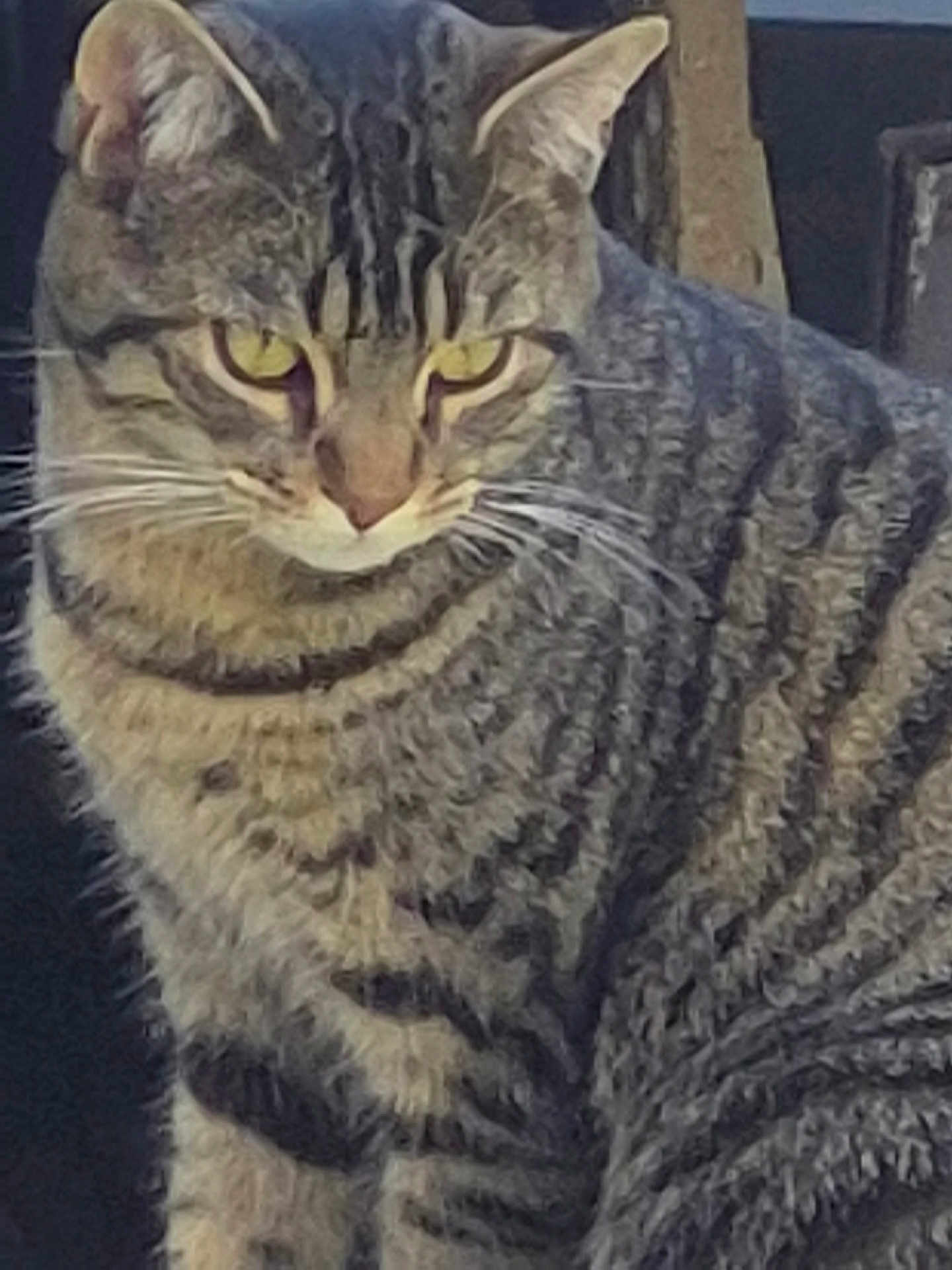 Rocky