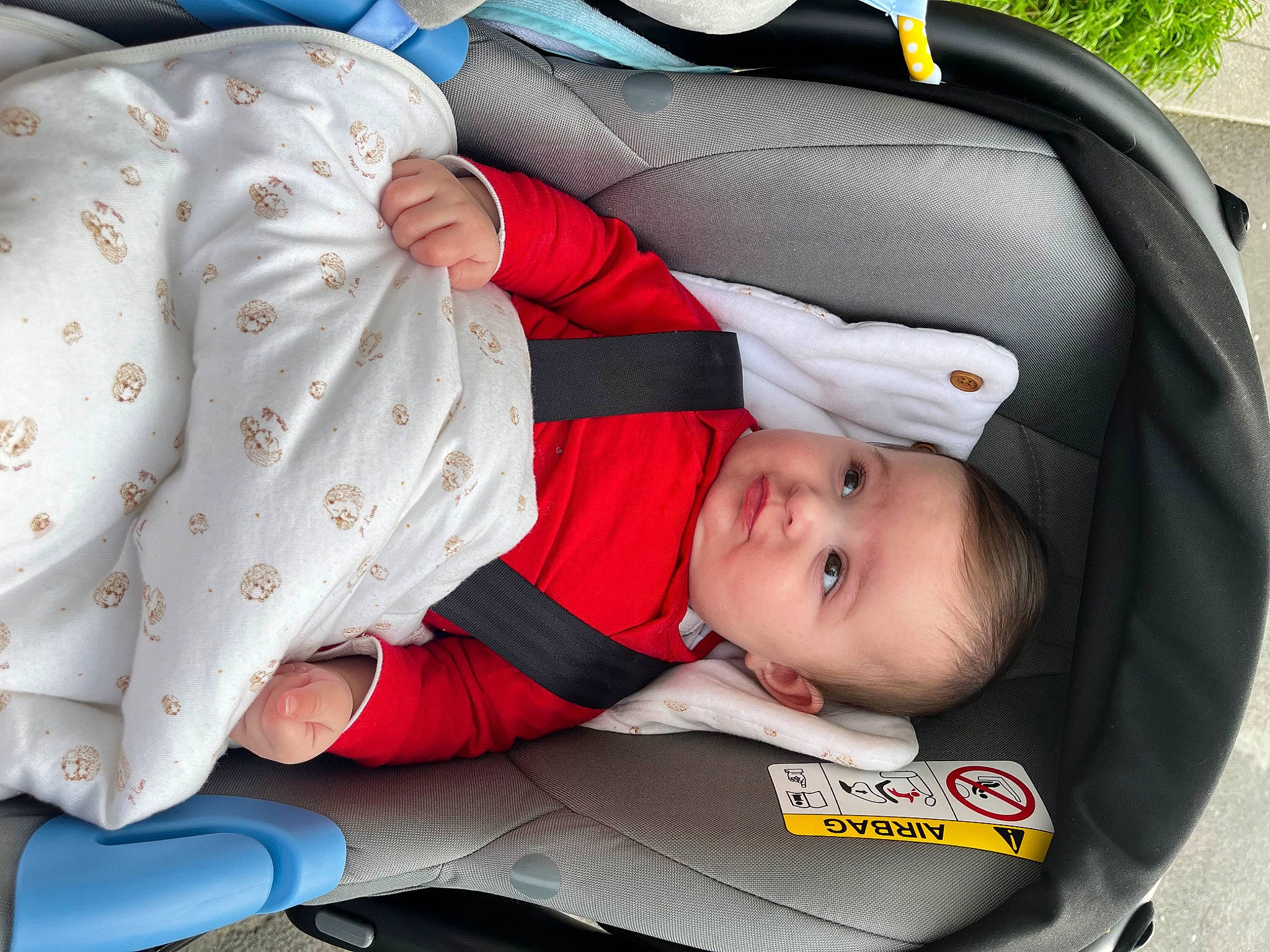 Nélya participe au concours pour gagner de l'argent avec cette photo : baby, baby_carriage, baby_products, baby_safety, baby_sleeping, baby_toddler_clothing, car_seat, carmine, child, comfort, lap, linens, pattern, person, sitting, sleeve, toddler, white