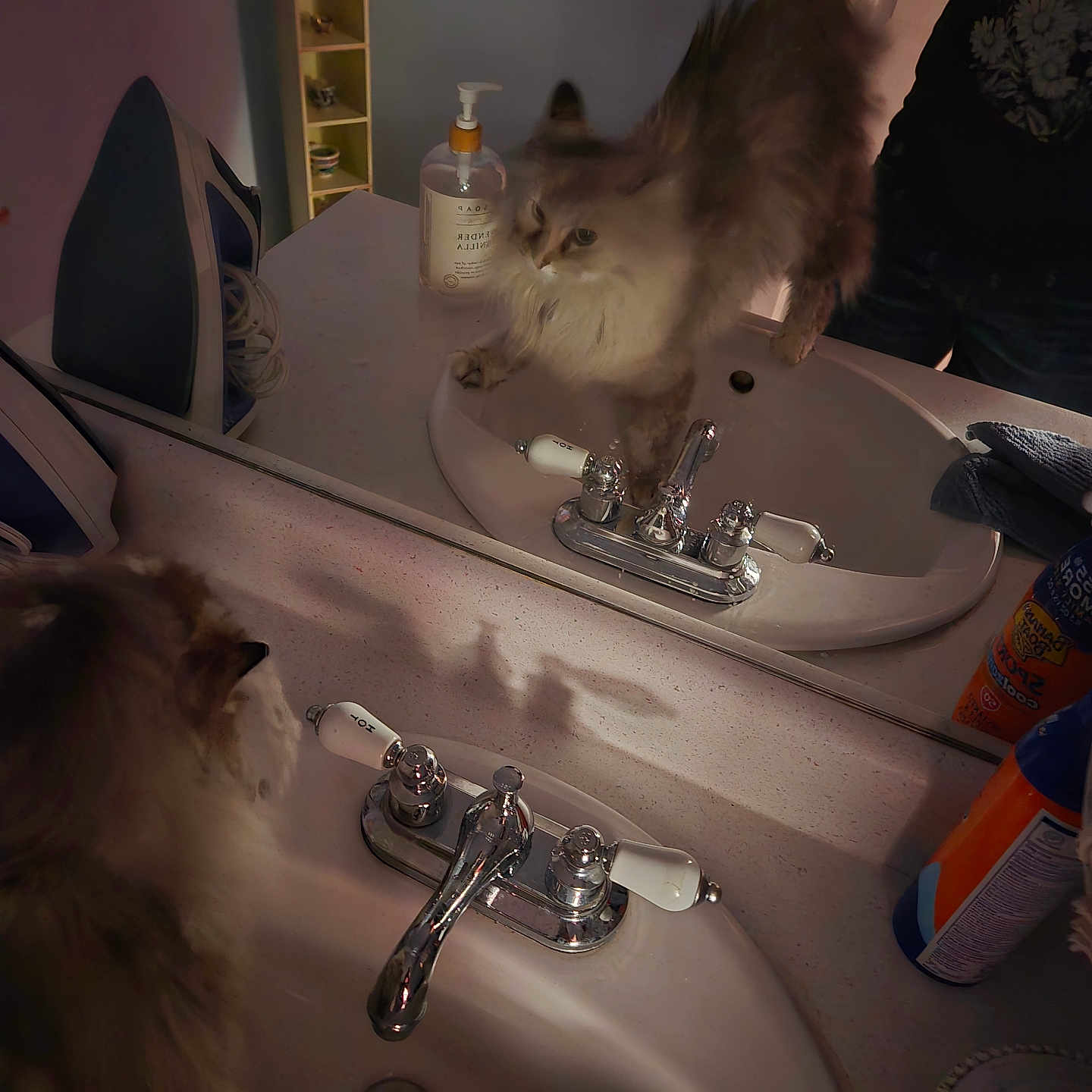Jeanneane is registered to the contest to win money with this photo: bathroom, cat, countertop, curious, dim_lighting, domestic, feline, fluffy_cat, fur, household, indoor, iron, mirror, pet, reflection, sink, soap_dispenser, stretching, tail, whiskers