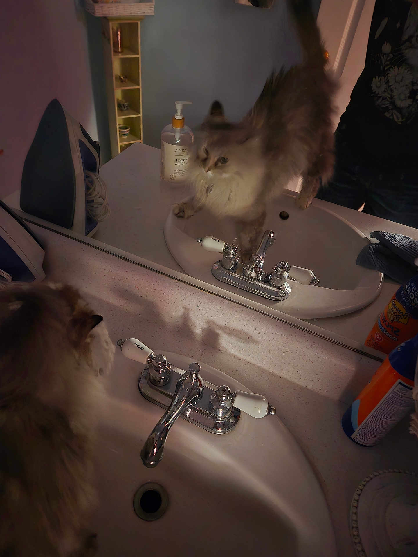 Jeanneane is registered to the contest to win money with this photo: bathroom, cat, countertop, curious, dim_lighting, domestic, feline, fluffy_cat, fur, household, indoor, iron, mirror, pet, reflection, sink, soap_dispenser, stretching, tail, whiskers