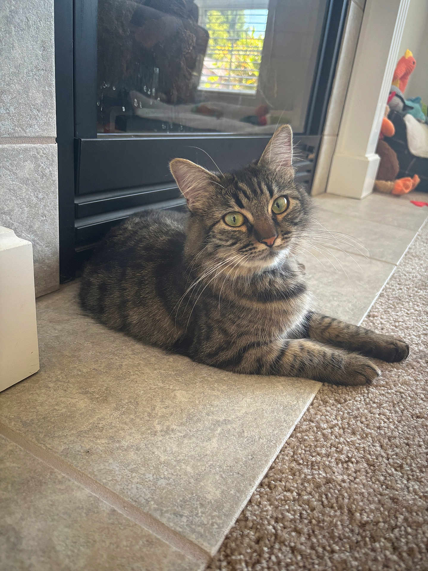 Bella