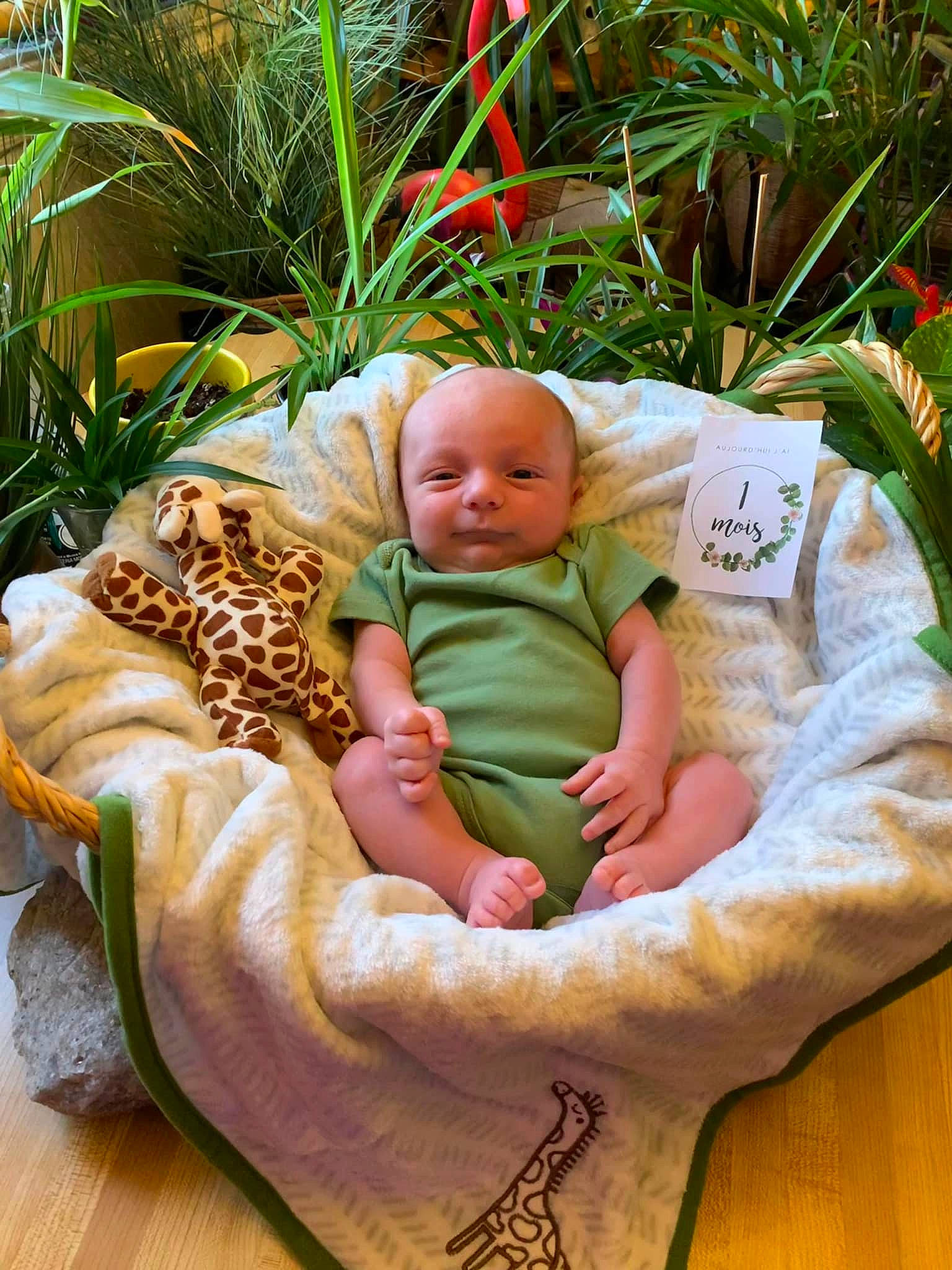 Jayden a rejoint le concours — aidez-le/la à gagner de superbes lots ! baby, baby_products, baby_sleeping, baby_toddler_clothing, child, comfort, fur, garden, grass, linens, mammal, pattern, people_in_nature, person, plant, sitting, terrestrial_plant, toddler, vacation, vertebrate