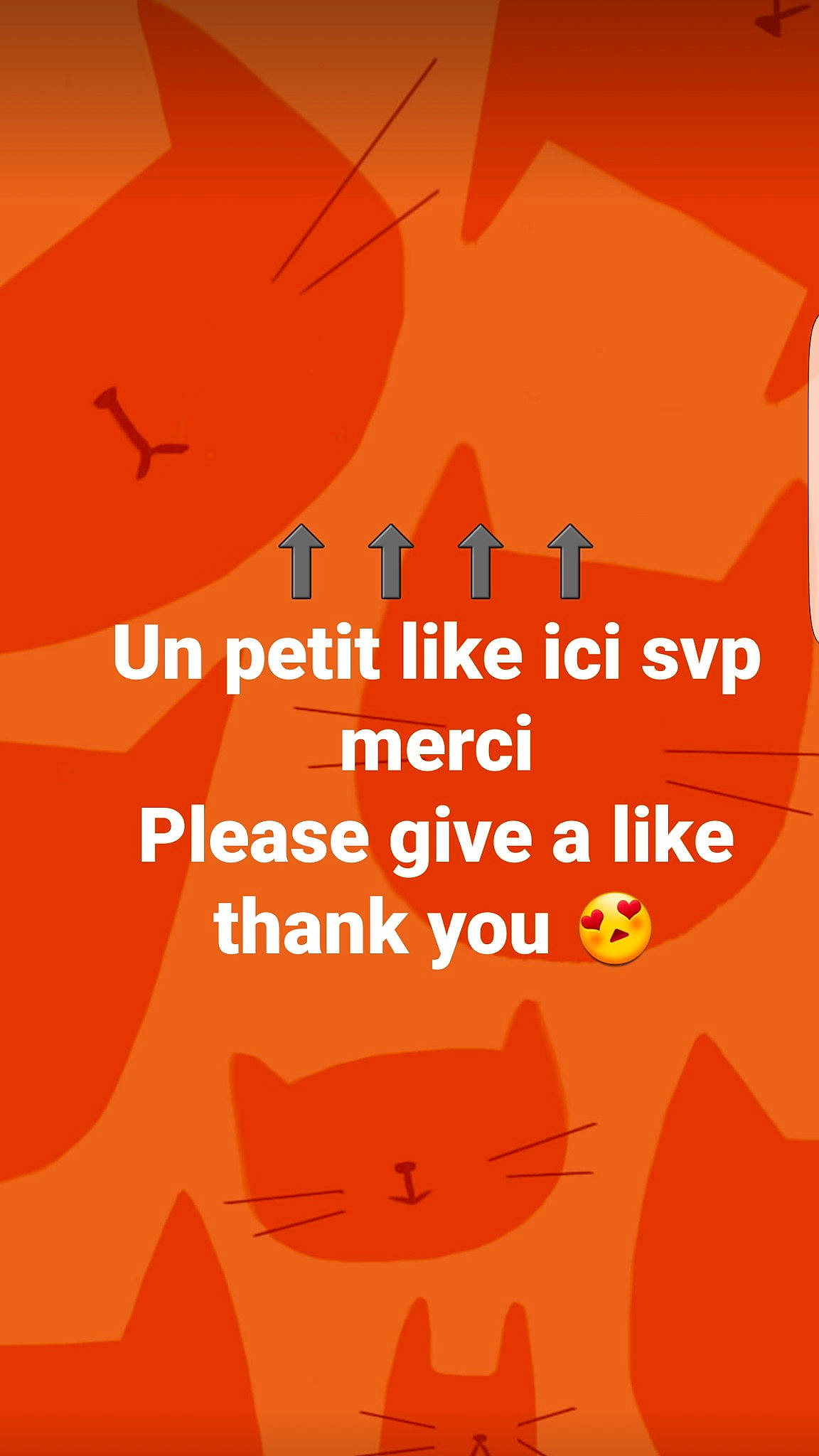 Luna joined the competition — help win amazing prizes! amber, art, book, book_cover, cat, facial_expression, font, graphic_design, graphics, happy, heat, illustration, line, orange, organism, peach, photo_caption, poster, publication, yellow