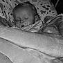 baby, bed, black_and_white, blanket, child, comfort, cozy, cushion, face, head, indoors, infant, pacifier, peaceful, pillow, portrait, rest, sleeping, soft, young