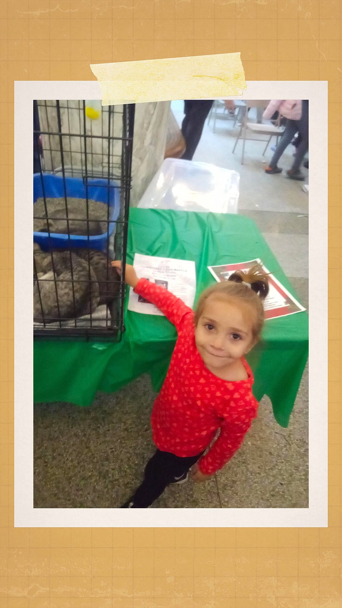 Mia is registered to the contest to win money with this photo: baby, baby_toddler_clothing, child, comfort, flooring, grass, happy, joy, leisure, linens, magenta, person, play, recreation, rectangle, room, sleeve, sunglasses, t_shirt, textile