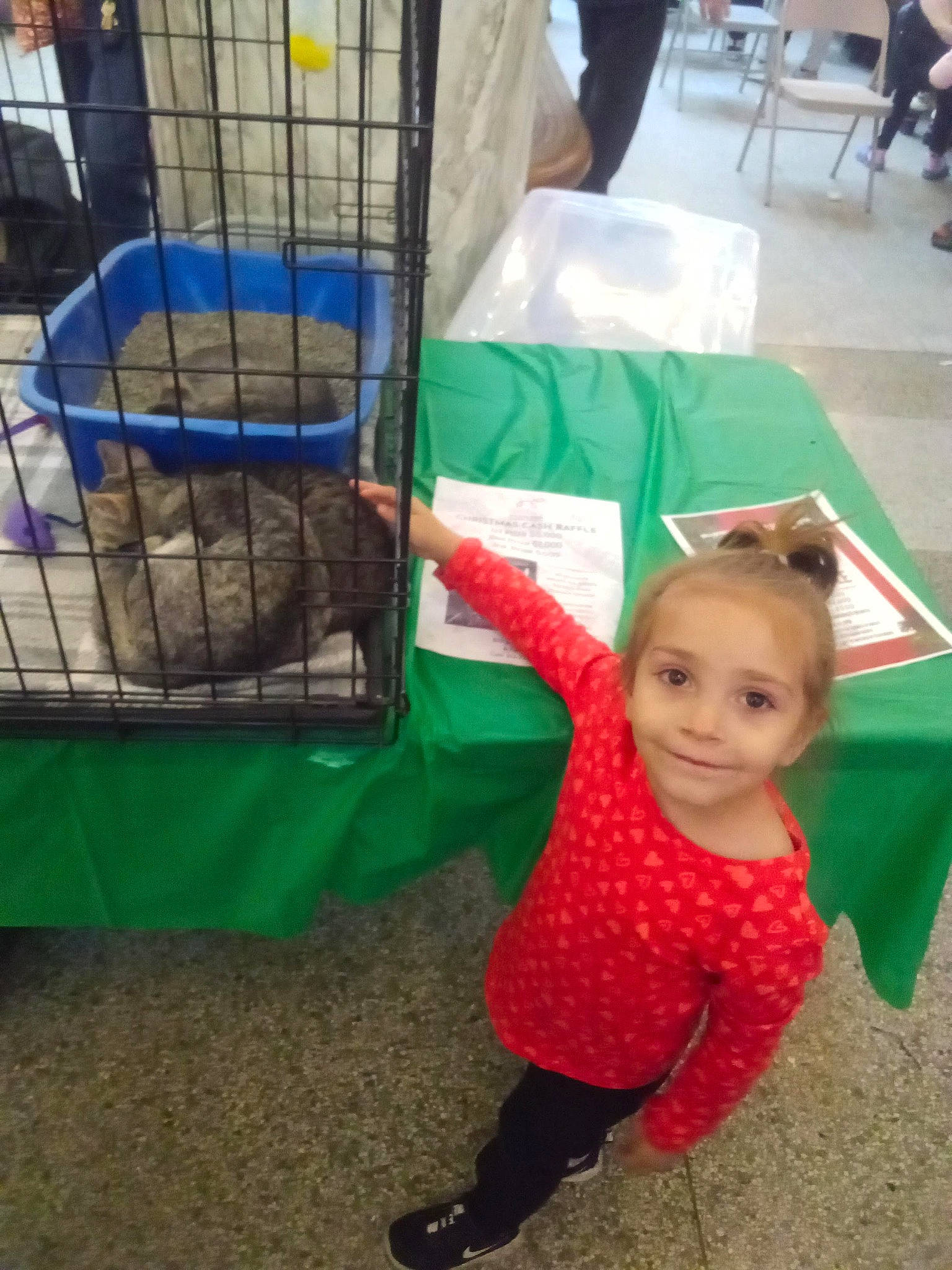 Mia is registered to the contest to win money with this photo: animal_shelter, bird_supply, cage, chair, child, costume, event, flooring, fun, grass, happy, joy, leisure, metal, person, pet_supply, play, recreation, sleeve, smile