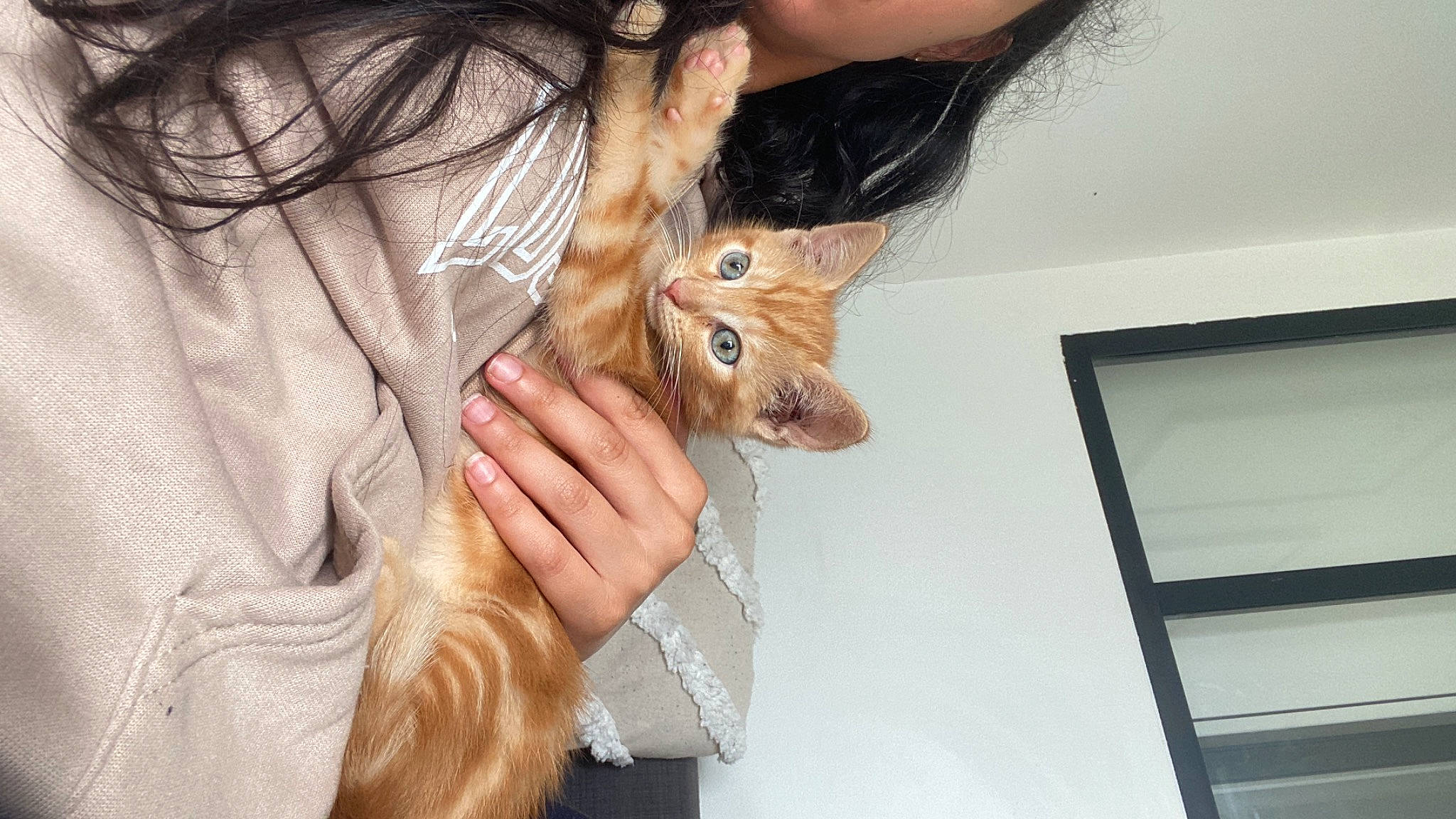 Karl participe au concours pour gagner de l'argent avec cette photo : beard, brown_hair, ear, eyelash, fawn, felidae, finger, fur, gesture, hair, hand, long_hair, nose, skin, small_to_medium_sized_cats, snout, sunglasses, tree, whiskers, wood