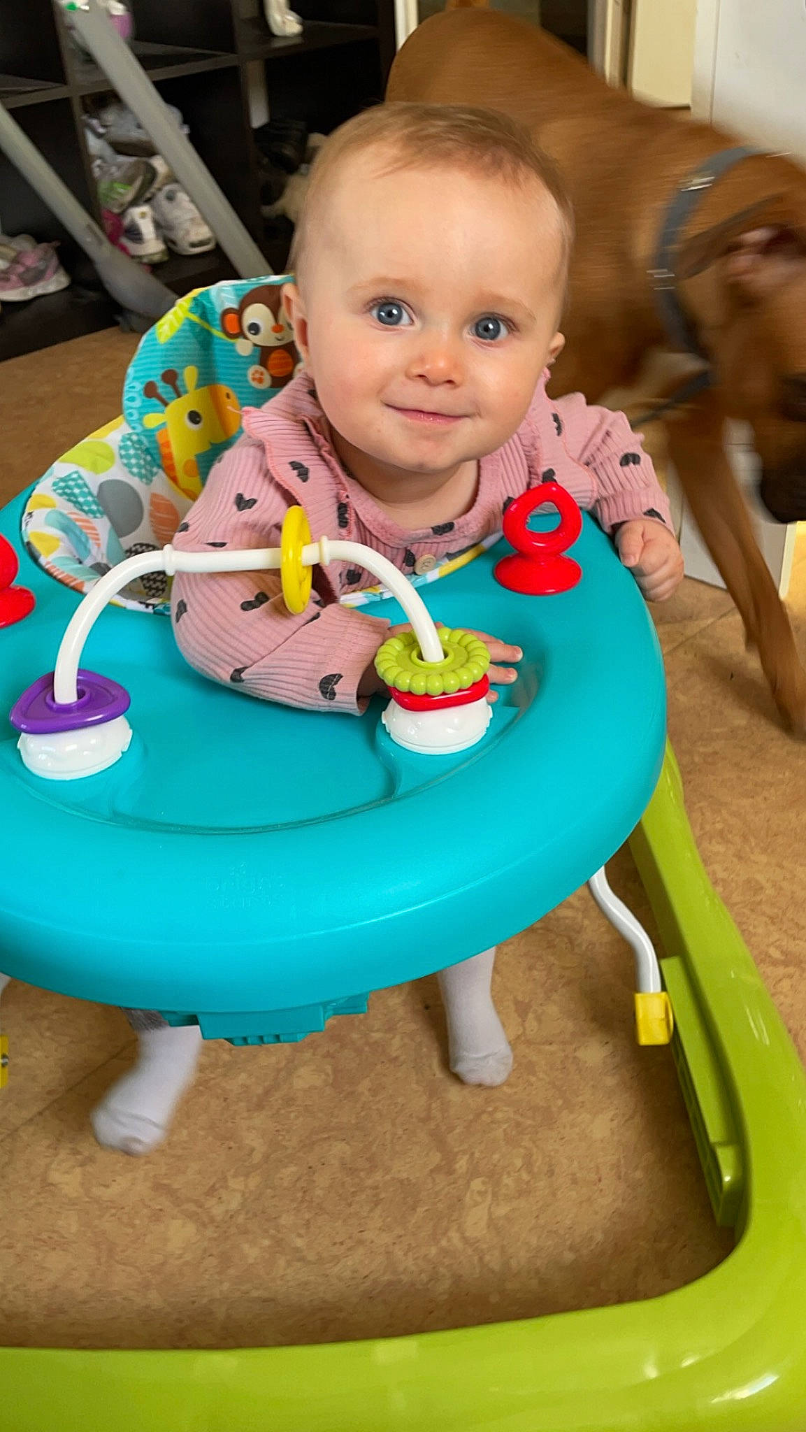 Lydia participe au concours pour gagner de l'argent avec cette photo : baby, baby_playing_with_toys, baby_products, baby_toddler_clothing, baby_toys, bib, chair, cheek, child, dress, facial_expression, fun, green, happy, joy, person, play, sitting, skin, smile