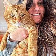 Jax is registered to the contest to win money with this photo: cat, human, selfie, orange_tabby, ginger_cat, pet, close_up, portrait, indoor, long_hair, smile, whiskers, fur, hand, sweater, eyes, ceiling, natural_light, holding, cute