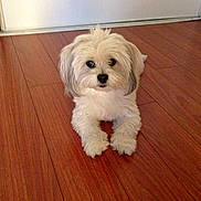 Mitzi is registered to the contest to win money with this photo: